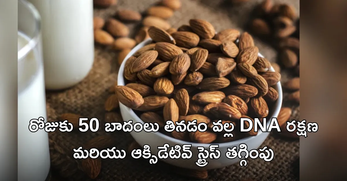 ఒక రోజు 50 బాదంలు తినడం వల్ల ఆరోగ్య ప్రయోజనాలు – DNA రక్షణ, ఆక్సిడేటివ్ స్ట్రెస్ తగ్గింపు, గుండె ఆరోగ్యం