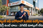 Indian youth representing Bank of Baroda (BOB) apprentice recruitment 2026 for 5000 jobs. The image features Telugu text translating to 'BOB 5000 jobs - No Negative Marking'. Taja Points job updates.